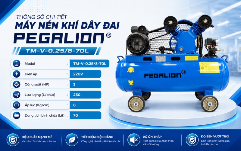 Thông số chi tiết Máy nén khí dây đai Pegalion TM-V-0.25/8-70L
