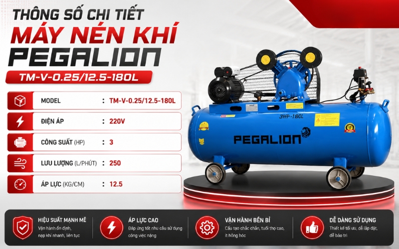 Thông số chi tiết của Máy nén khí Pegalion TM-V-0.25/12.5-180L
