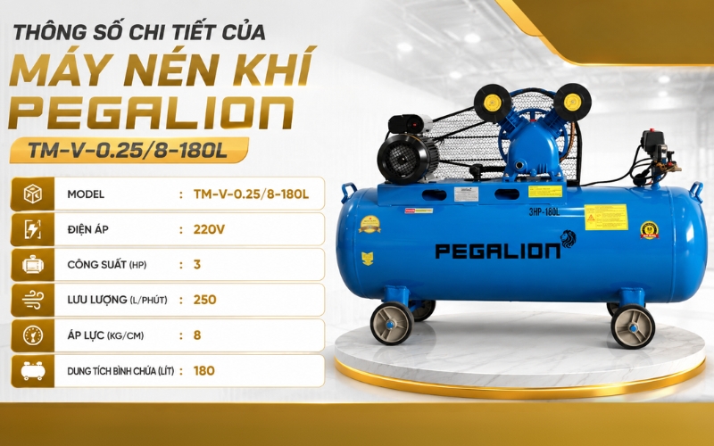 Thông số chi tiết của Máy nén khí Pegalion TM-V-0.25/8-180L
