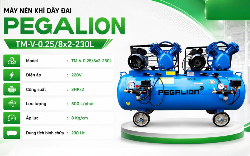 Thông số chi tiết của Máy nén khí Pegalion TM-V-0.25/8x2-230L
