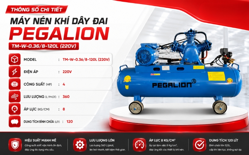Thông số chi tiết của Máy nén khí Pegalion TM-W-0.36/8-120L (220V)