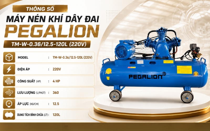 Thông số của Máy nén khí Pegalion TM-W-0.36/12.5-120L (220V)