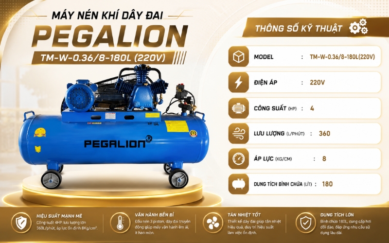 Thông số của Máy nén khí Pegalion TM-W-0.36/8-180L (220V)
