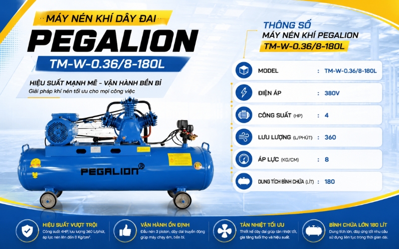 Thông số của Máy nén khí Pegalion TM-W-0.36/8-180L