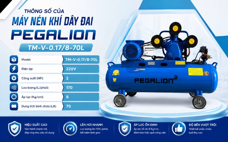 Thông số của Máy nén khí dây đai Pegalion TM-V-0.17/8-70L