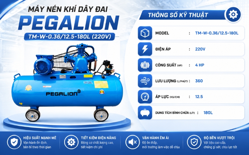 Thông số của Máy nén khí dây đai Pegalion TM-W-0.36/12.5-180L (220V)