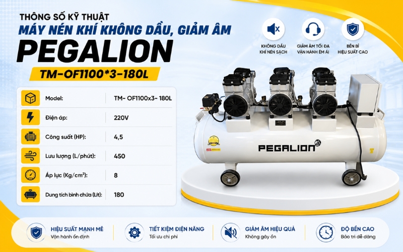 Thông số kỹ thuật Máy nén khí Pegalion TM-OF1100*3-180L