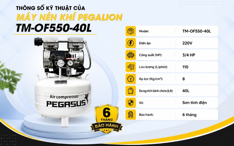 Thông số kỹ thuật của Máy nén khí Pegalion TM-OF550-40L