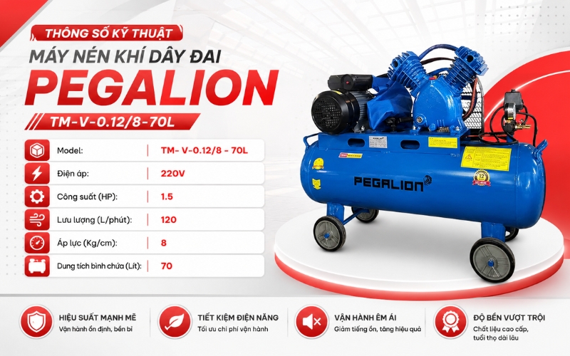 Thông số kỹ thuật của Máy nén khí Pegalion TM-V-0.12/8-70L