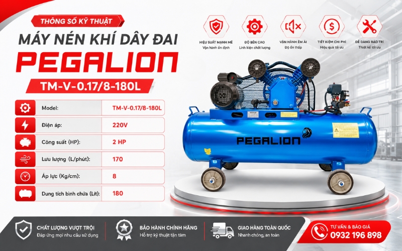 Thông số kỹ thuật của Máy nén khí Pegalion TM-V-0.17/8-180L