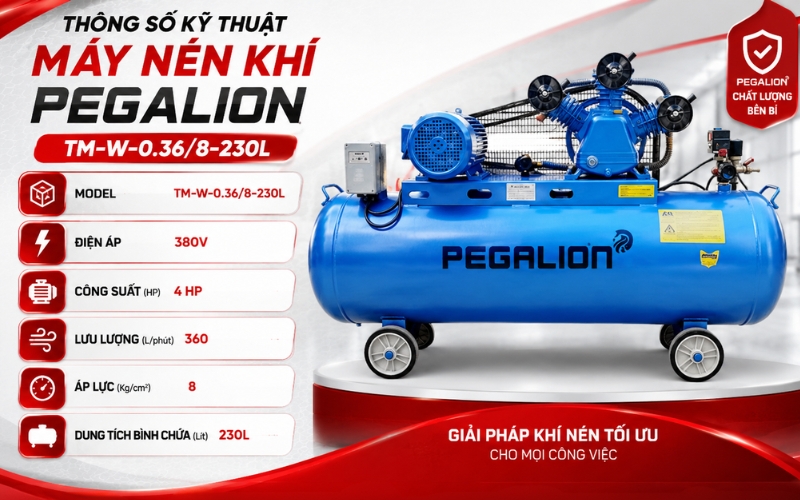 Thông số kỹ thuật của Máy nén khí Pegalion TM-W-0.36/8-230L