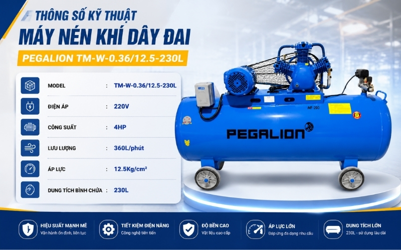 Thông số kỹ thuật máy nén khí dây đai Pegalion TM-W-0.3612.5-230L