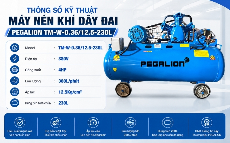 Thông số kỹ thuật máy nén khí dây đai Pegalion TM-W-0.36/12.5-230L