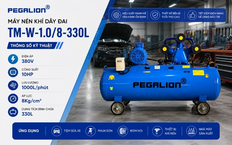  Thông số kỹ thuật máy nén khí dây đai Pegalion TM-W-1.08-330L