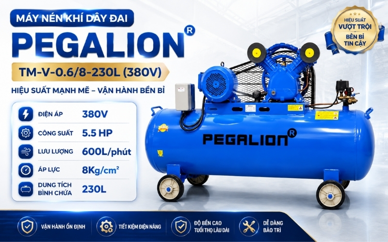 Máy nén khí dây đai Pegalion TM-V-0.6/8-230L (380V)