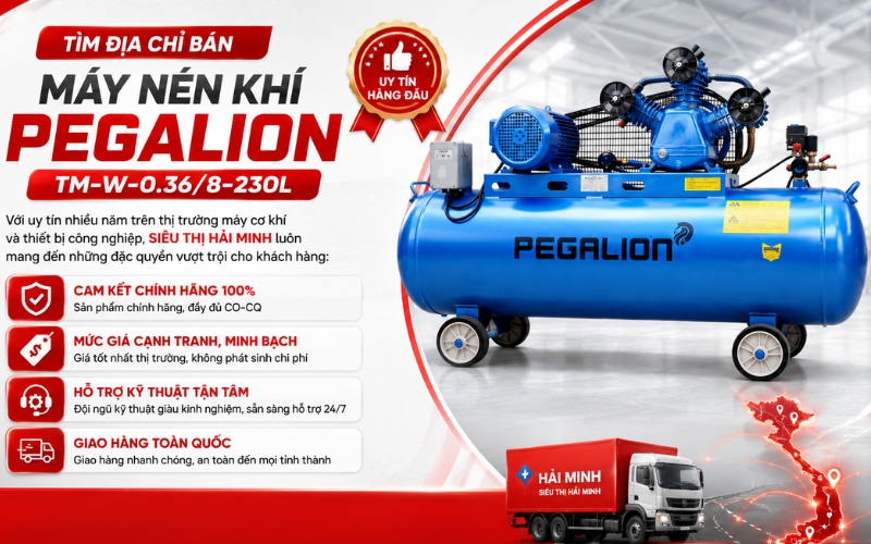 Tìm địa chỉ bán Máy nén khí Pegalion TM-W-0.36/8-230L uy tín
