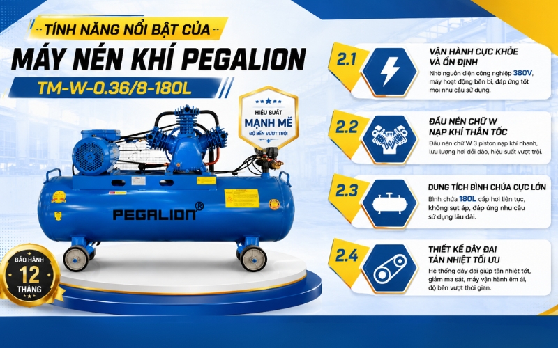 Tính năng nổi bật của Máy nén khí Pegalion TM-W-0.36/8-180L