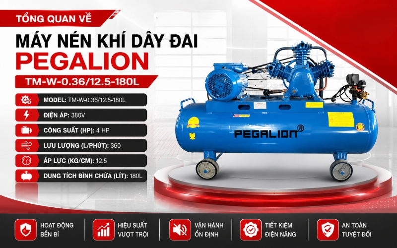 Tổng quan về Máy nén khí Pegalion TM-W-0.36/12.5-180L