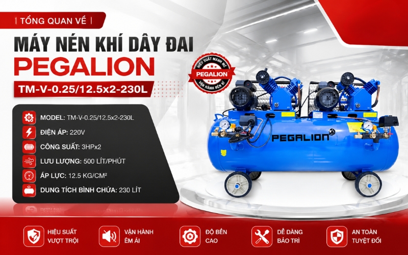 Tổng quan về Máy nén khí dây đai Pegalion TM-V-0.25/12.5x2-230L
