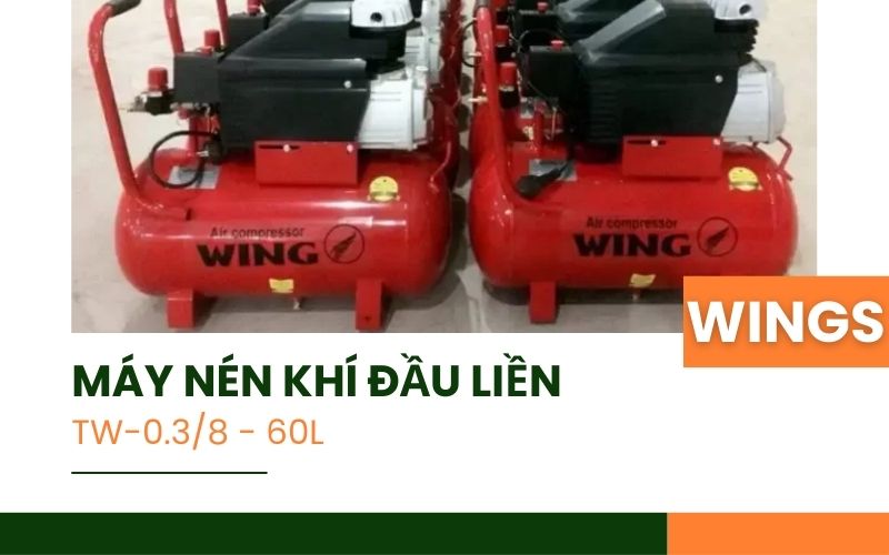 Tổng quan về máy nén khí đầu liền Wings TW-0.3/8 - 60L