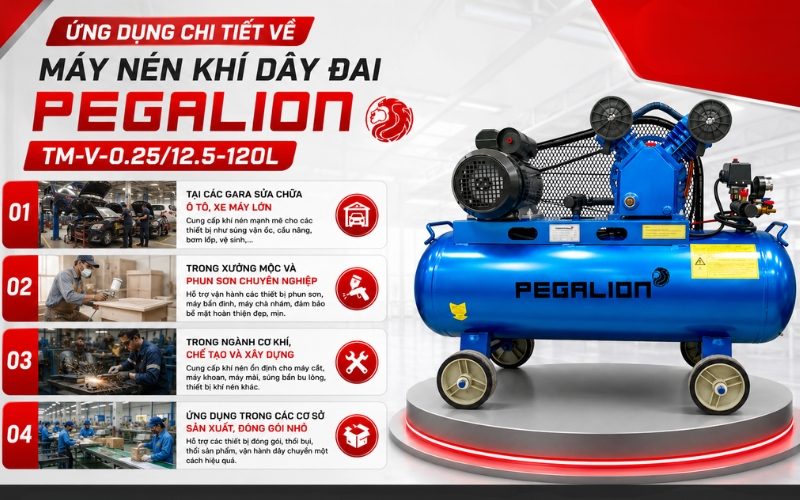 Ứng dụng chi tiết về Máy nén khí Pegalion TM-V-0.25/12.5-120L
