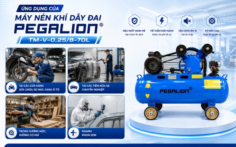 Ứng dụng của Máy nén khí Pegalion TM-V-0.25/8-70L