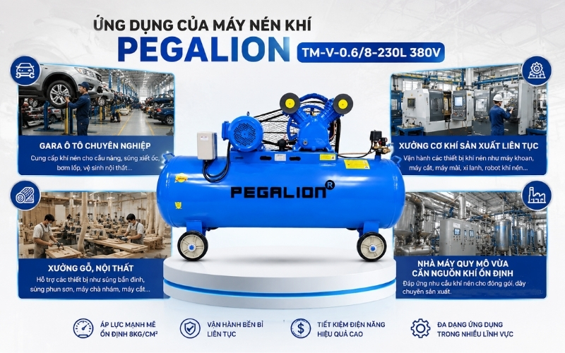  Ứng dụng của máy nén khí Pegalion TM-V-0.68-230L 380V