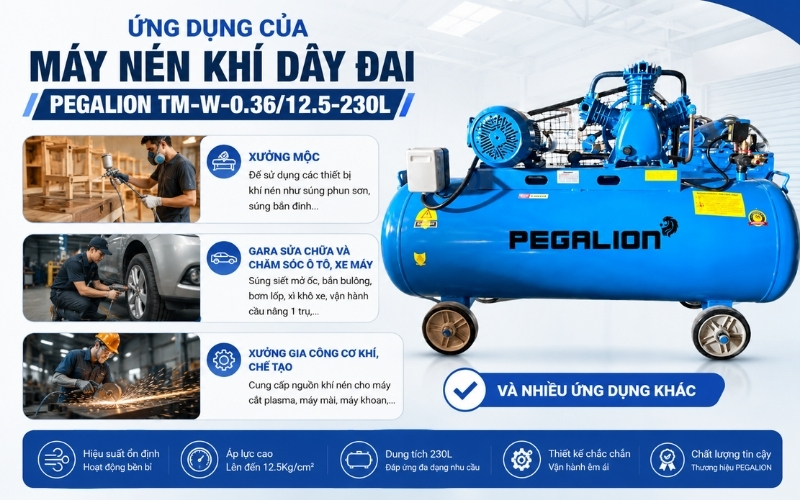 Ứng dụng của máy nén khí dây đai Pegalion TM-W-0.36/12.5-230L