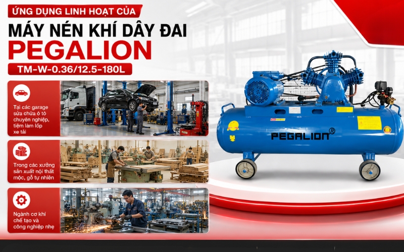 Ứng dụng linh hoạt của Máy nén khí Pegalion TM-W-0.36/12.5-180L