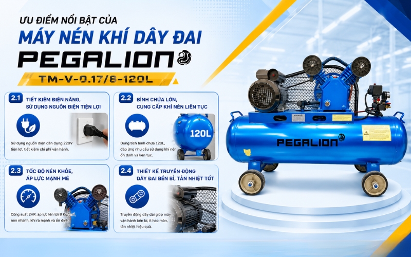 Ưu điểm nổi bật của Máy nén khí Pegalion TM-V-0.17/8-120L