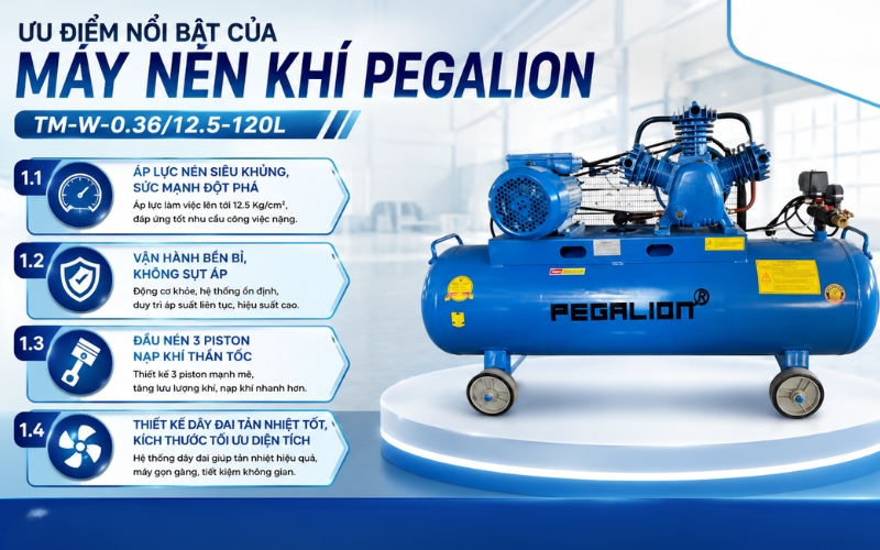 Ưu điểm nổi bật của Máy nén khí Pegalion TM-W-0.36/12.5-120L