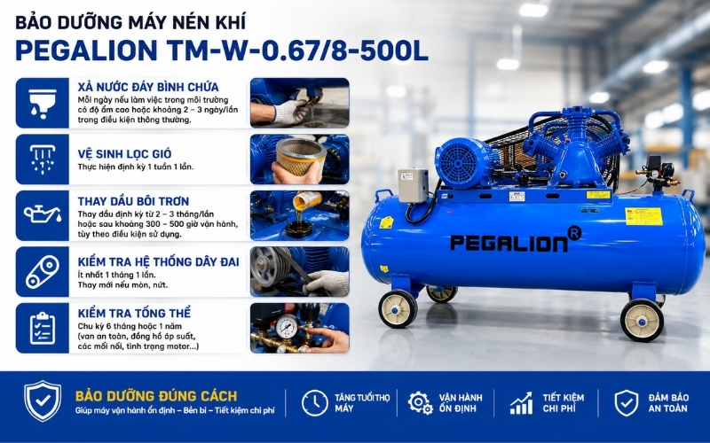 bảo dưỡng máy nén khí Pegalion TM-W-0.678-500L