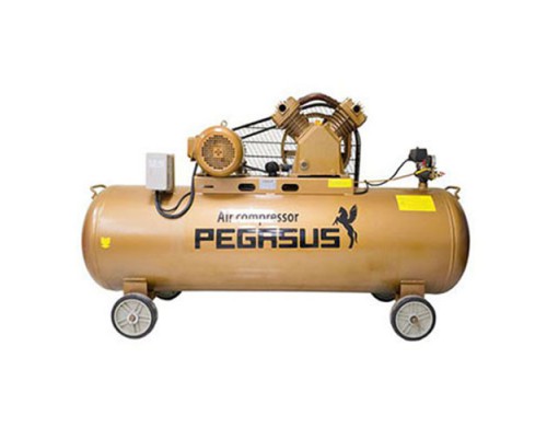 Máy nén khí dây đai PEGASUS TM-W-1.6 / 12.5 - 500L chất lượng tốt 