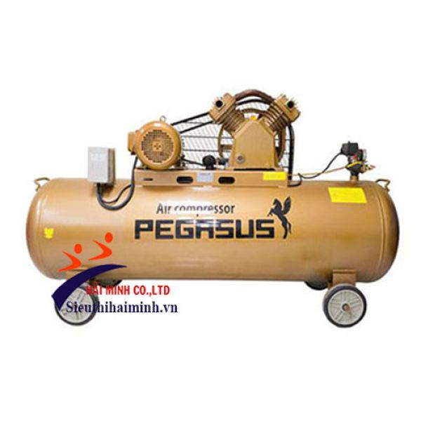 Photo - Máy nén khí dây đai PEGASUS TM-W-1.6/8-500L