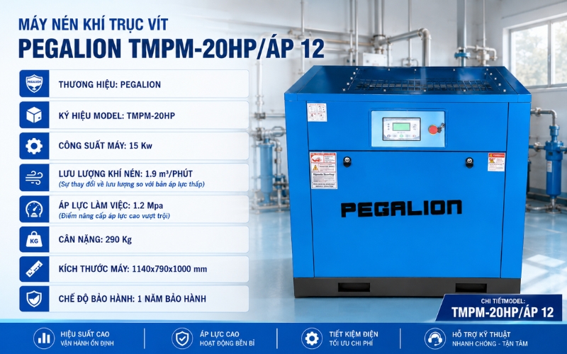 Thông số của máy nén khí trục vít PEGALION TMPM-20HP/ÁP12