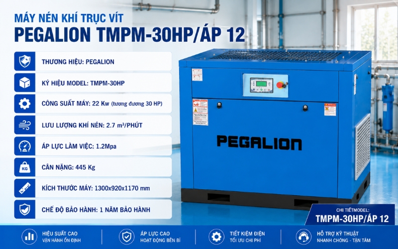 Thông số của máy nén khí PEGALION TMPM-30HP/ÁP12