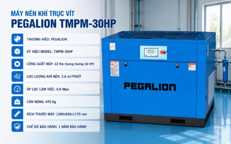 Thông số của máy nén khí PEGALION TMPM-30HP