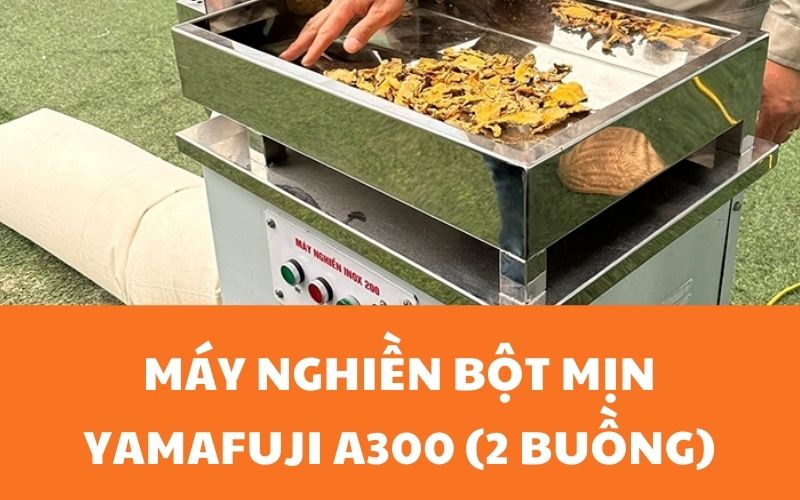 Máy nghiền bột mịn Yamafuji A300 (2 buồng)