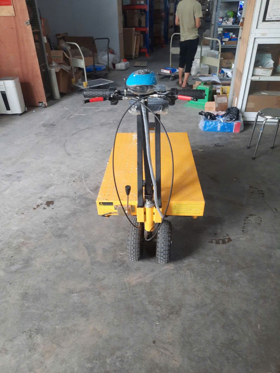 Xe điện chở hàng gấp gọn HM-SB500