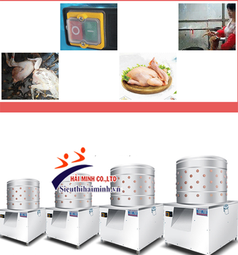 Dùng máy vặt lông gà lông vịt chỉ với 3 bước đơn giản