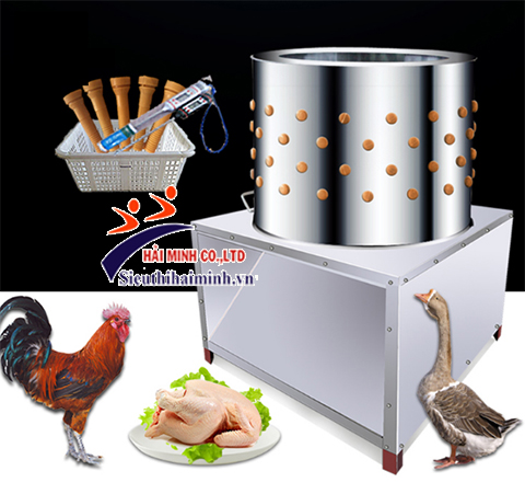 5 mẫu máy vặt lông vịt được đánh giá cao