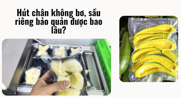 Hút chân không bơ, sầu riêng bảo quản được bao lâu?