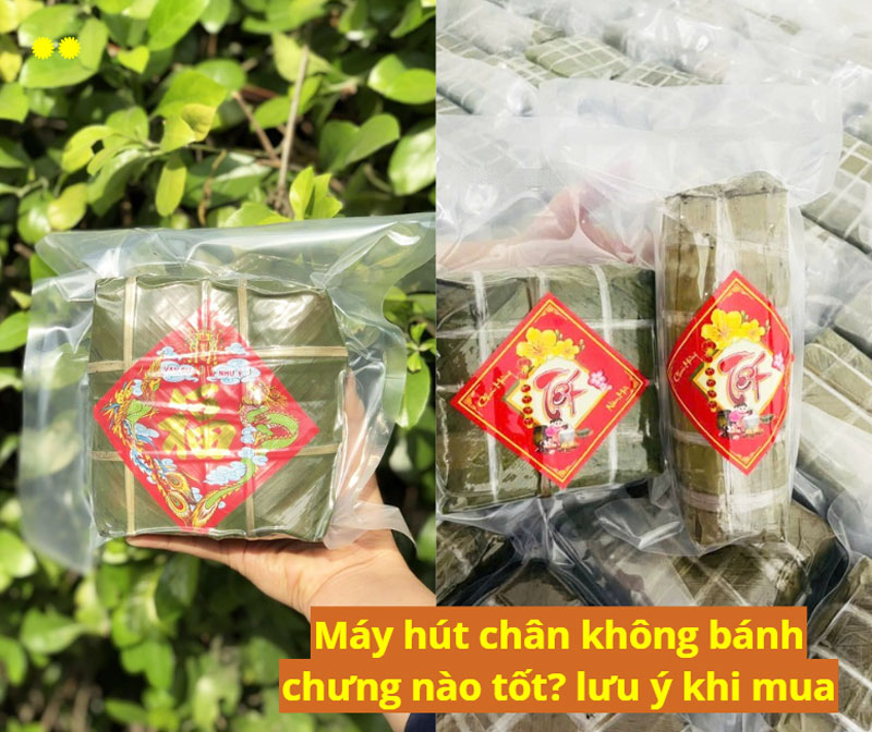 Máy hút chân không bánh chưng nào tốt? lưu ý khi mua