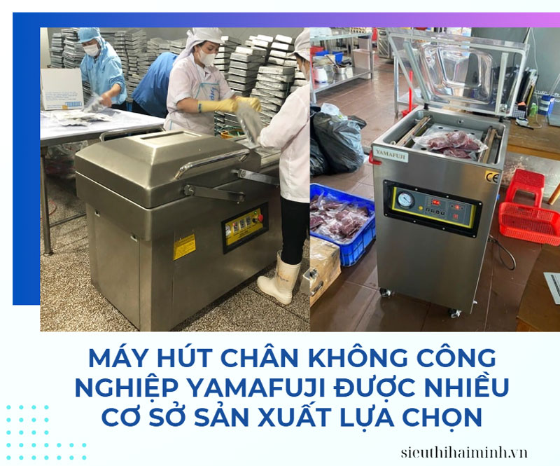Máy đóng gói hút chân không công nghiệp Yamafuji 