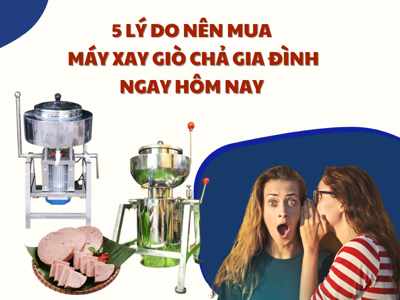 5 Lý Do Nên Mua Máy Xay Giò Chả Gia Đình Ngay Hôm Nay