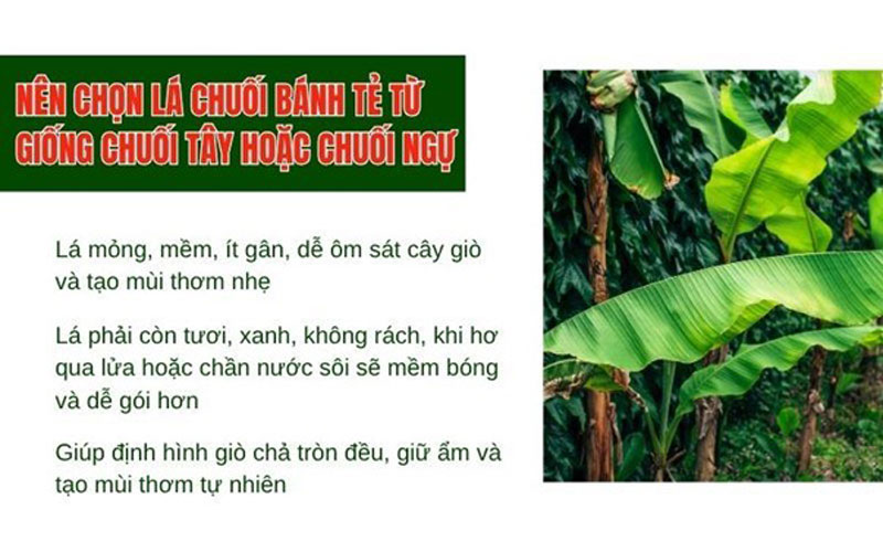 Nguyên liệu chính để làm giò chả