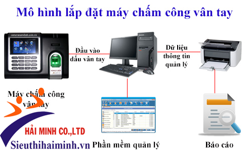 Mô hình lắp đặt máy chấm công vân tay cùng phần mềm