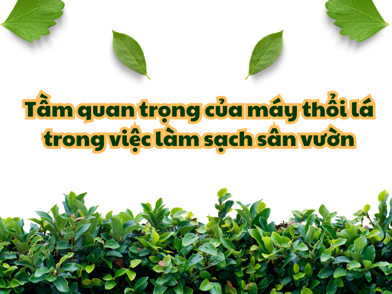 Tầm quan trọng của máy thổi lá trong việc làm sạch sân vườn