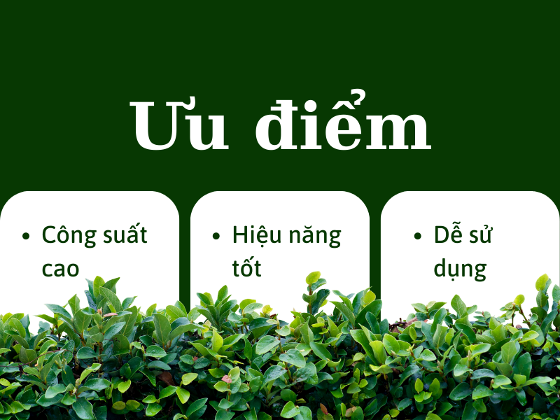 Tầm quan trọng của máy thổi lá trong việc làm sạch sân vườn