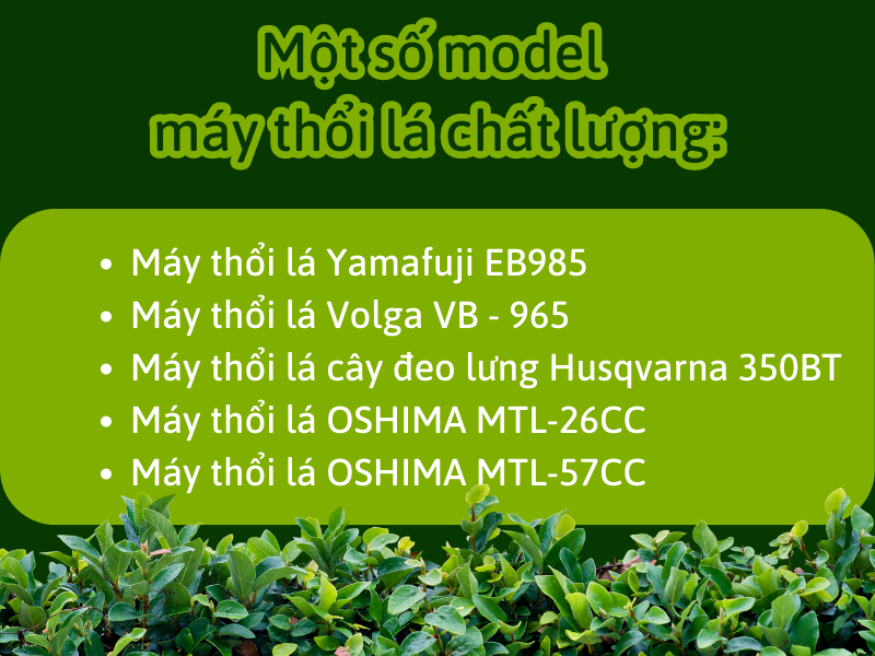 Tầm quan trọng của máy thổi lá trong việc làm sạch sân vườn